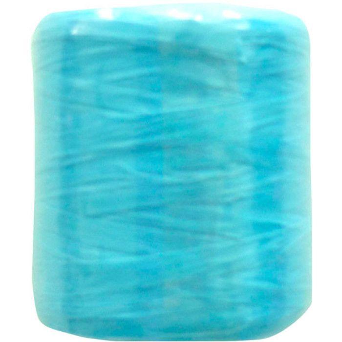 Raphia synthétique Bleu clair 125 g