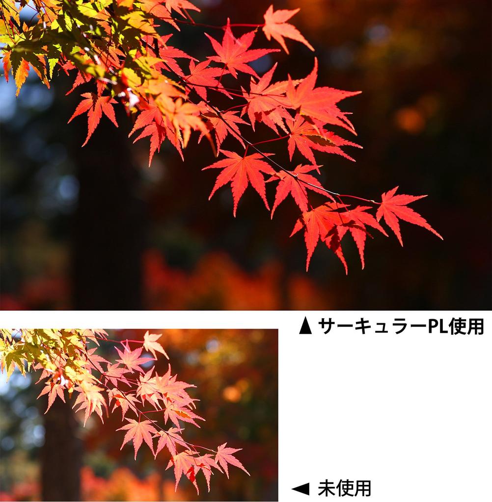 Kenko Kamerafilter PRO1D WIDE BAND Circular PL 55mm zur Kontrasterhöhung und Entfernung von Reflexionen 515525 (W.)