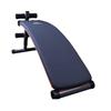 Junxia JX-750 Multi-functional Sit-up Board & Dumbbell Bench