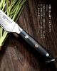 Premium PAUDIN Paring Damascus VG10 Stainless Steel with G10 Fruit Knife for and Gift [Shoun] Knife, 127mm, 67-Layer Handle, Double-Edged,