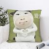 Funny Grassland Cattle Meme Pillow Case Retro Trendy Pillow Cover Soft Pillowcases For Living Room Chair