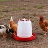 4/6Pcs 1.5L Chick Feeder Waterer Baby Chicken Duckling Quails Small Birds Pigeon Poultry Drinker Container Feeding Equipment Essential Supplies