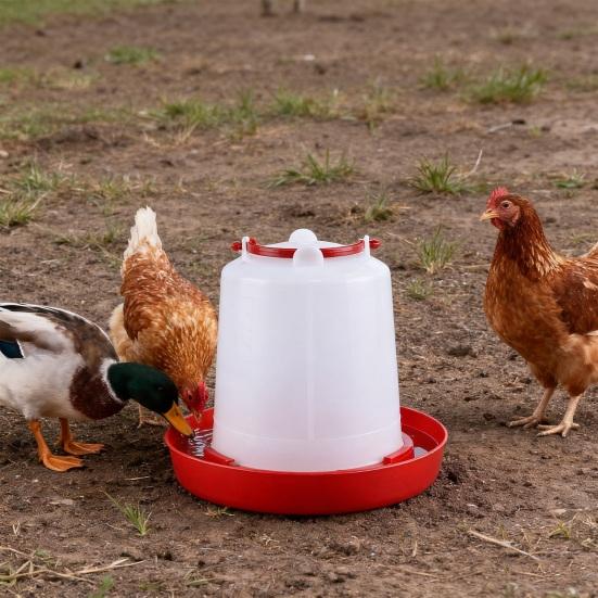 4/6Pcs 1.5L Chick Feeder Waterer Baby Chicken Duckling Quails Small Birds Pigeon Poultry Drinker Container Feeding Equipment Essential Supplies