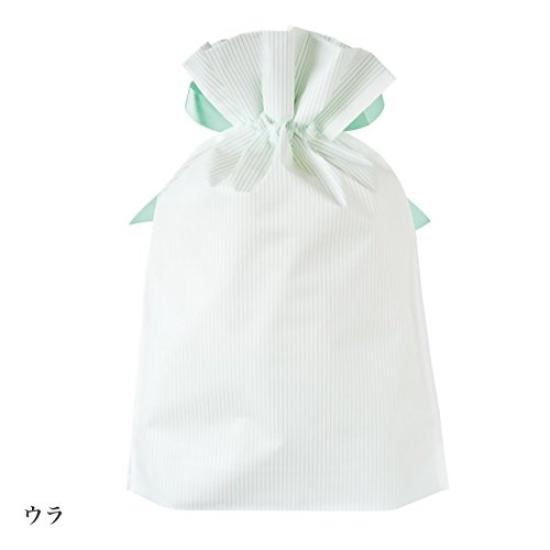 PE Gift Bag with Ribbon Mint stripe-M (20 Pieces) MTS-RBM