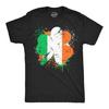 Irish Clover Flag St Patrick's Day T-Shirt, Funny Party Shirt