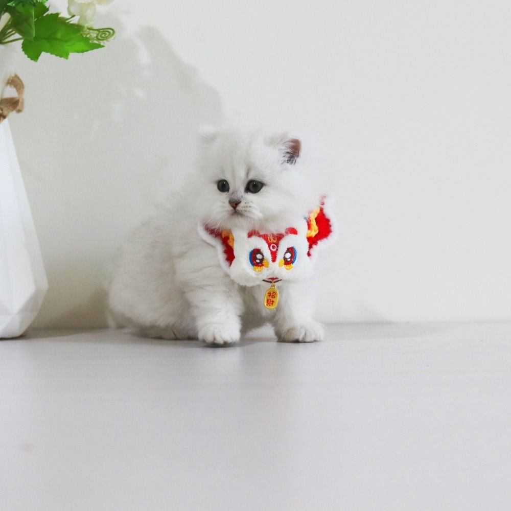 Kinesisk Stil Vårfest Lejondans Katt Halsduk Justerbar Handgjord Nyårsdjurhalsband Varm Välsignelse Kattstickad Halsduk Vinter