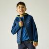 Regatta Childrens/Kids Andreson Hybrid Padded Jacket