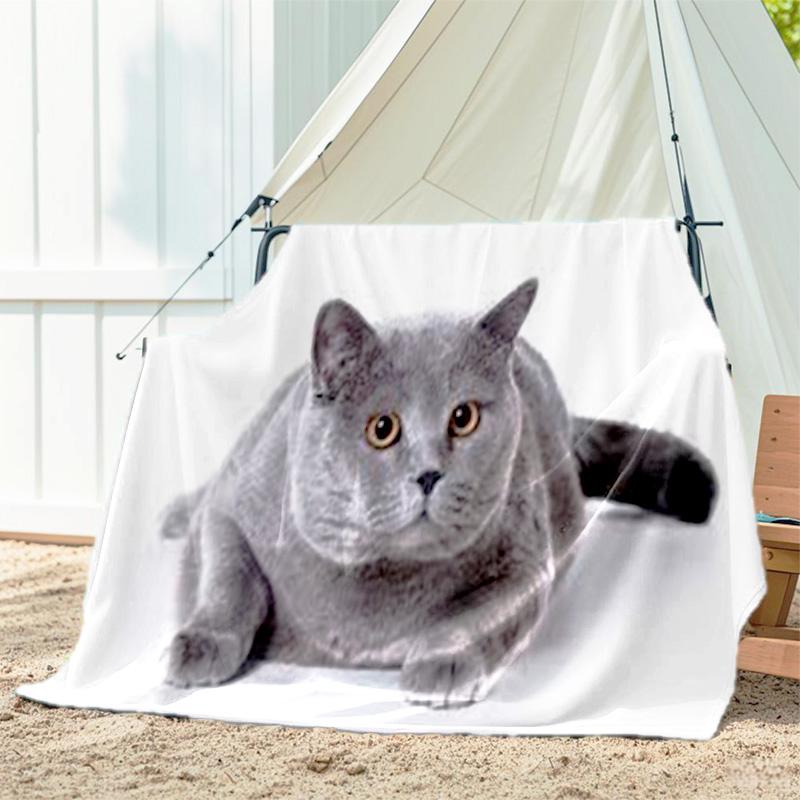 1pc dog pattern blanket, all season lightweight home office outdoor nap multifunctional blanket