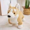 Adorbale Corgi Dog Plush Toy Stuffed Soft Animal Cartoon Pillow Kawaii Lifelike Puppy Doll Lovely Gifts for Children Girls