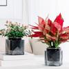 Automatic Water-absorbing Flowerpot with Transparent Water Level Indicator Self-Watering Planter for Indoor Plants Succulents Cactus Herb