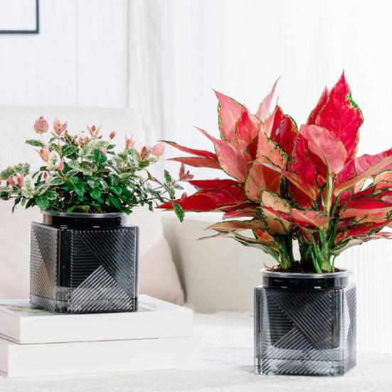 Automatic Water-absorbing Flowerpot with Transparent Water Level Indicator Self-Watering Planter for Indoor Plants Succulents Cactus Herb