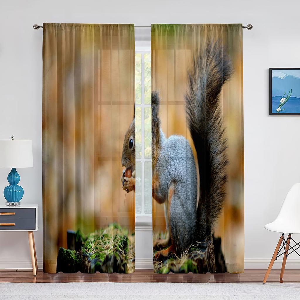 Squirrel Standing on Tree Branch Animal Sheer Voile Curtains for Living Room Modern Curtains for Kitchen Chiffon Tulle Curtain