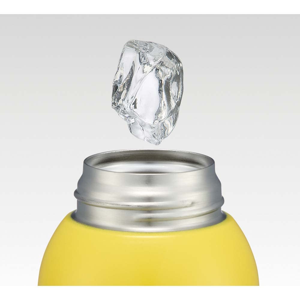 Skater Kids' Stainless Steel Water Bottle, Direct Drinking, 600ml, Minions Design, Kid-Friendly and Lightweight, for Boys, Includes Dedicated Cover,