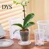 Orchid Planter with Saucer Clear Pot Saucer, Phalaenopsis Drainage Home Decor Plant Holes, Slotted Root Control Flower for Oncidium