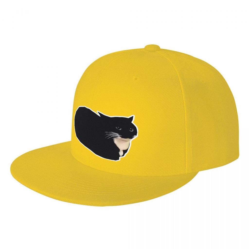 Dark Spinning Cat Meme Maxwell The Cat Meme Hat Unisex Summer Hat Women's Cap Cap Unisex Summer Unisex Hat Baseball Cap