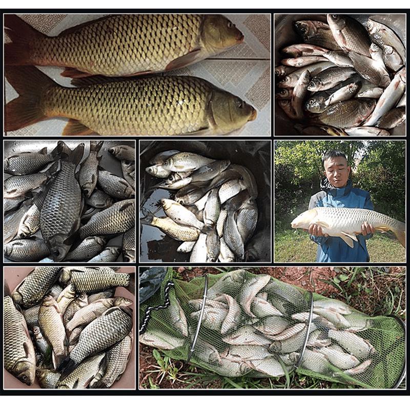 Xibu Feng Old Jar Sweet Potato and Corn Particle Fishing Bait