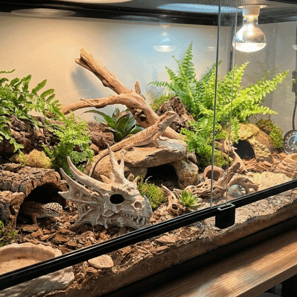 3D Printed Dragon Bone Fish Tank Ornament Crawler Landscape Decoration Feeding Box Decoration