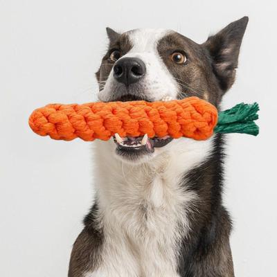 Carrot Dog Rope Toy Interactive Cotton Rope Dog Chew Toy for Aggressive Chewers Puppy Teeth Cleaning Toy for Small Medium Dogs