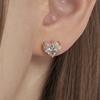 Stunning Heart Earrings