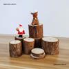 Natural Dried Fruit Wood Slices & Pine Acorn Christmas Decor Materials for Photography Backgrounds