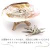 GOLD STONE white sage set pearl shell crystal chips wooden stand 4pcs beginner kit aroma incense california grown sage organic herb
