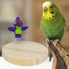 Parrot Stand Bird Cage Accessories Natural Chewable Enrichment Toy Playground Accessories For Conure Chicken Pigeon Indoor