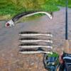 Fishing Baits Artificial Silicone Portable Hard Lures with Sharp Hook for