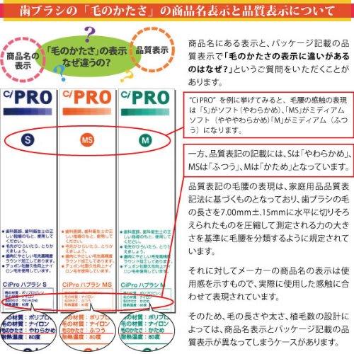 Ci Medical Toothbrush Compact Heads, Set of 10, Ci202 (Regular)