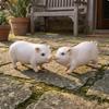 Pig Figurine Resin Ornament Realistic Animal Sculpture for Garden, Courtyard, Window