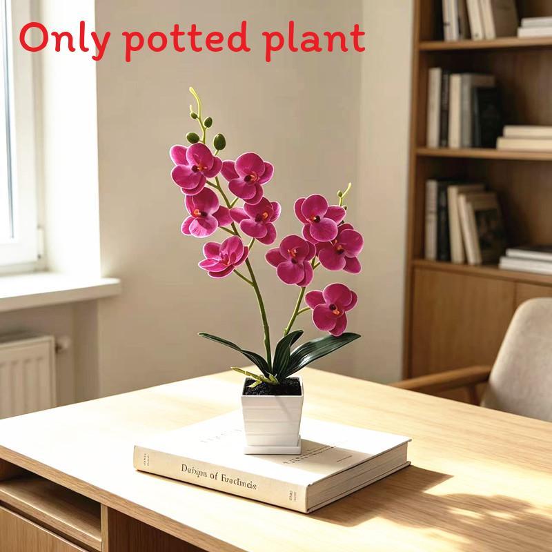 Decorative Butterfly Orchid Indoor Planter With Plastic Material For Home Decor And Photography Props