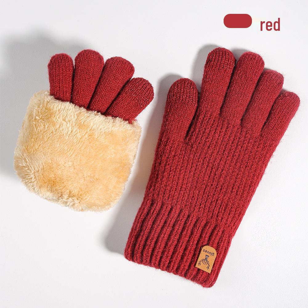 Women's Winter Knitted Gloves, Double-Layer Velvet, Thickened, Cold-Proof, Warm, Touchscreen, Perfect for Outdoor Cycling.