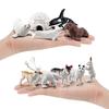 Arctic Animal Simulation Model: Rabbit, Fox, Killer Whale, Beluga, Reindeer, Husky, Polar Bear, Igloo Sandbox