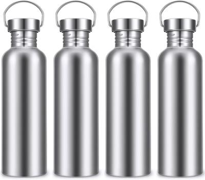 Stainless Steel Double-walled Sports Bottle with Handle, Metal Reusable Water Bottle with Lid, School, Hiker, Gift