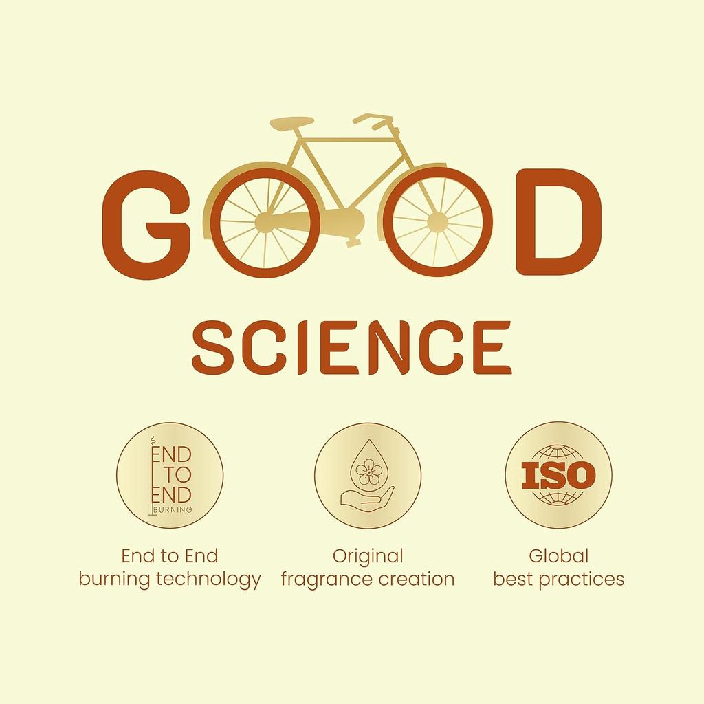 Cycle Pure Agarbatti Three in One Incense Sticks Pack of 4 (250gm per Pack) Floral Woody Lily Fragrance for Puja Meditation