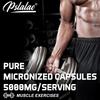 Pslalae Micronized Creatine Monohydrate Capsules, High Purity, Fitness, Sports, Dietary Supplement
