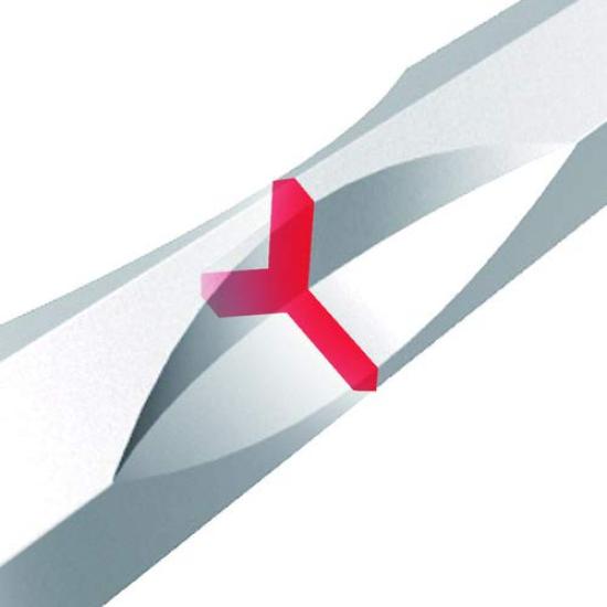 ANEX Color Torsion Bit, Double-Ended, Slim, +2x110, 10-Pack, ACT-14M