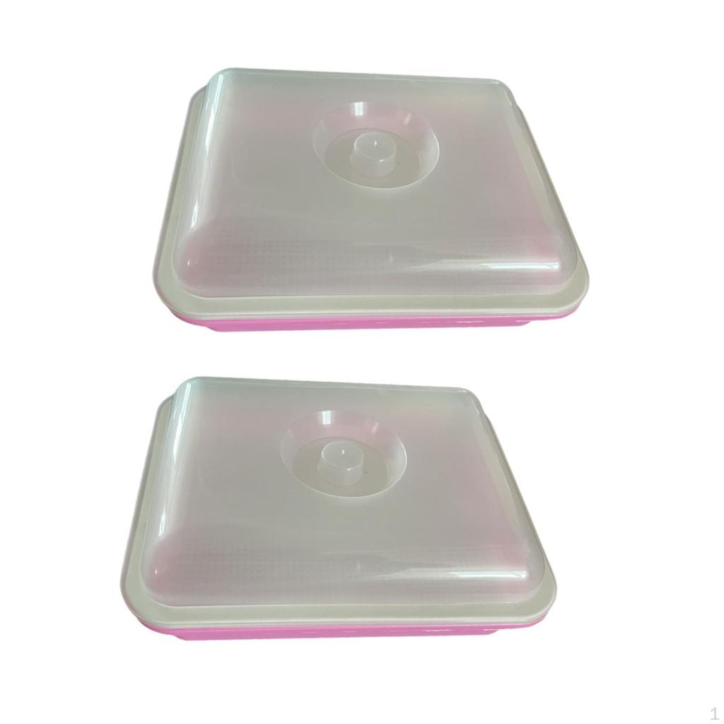 Seed Sprouting Trays for Plant Growth