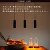 [Amazon Alexa Compatible] Edison Smart Pendant Light (for Ceiling MountsBlack) x 2 Set, Dedicated Remote Control Compatible, Integrated LED,