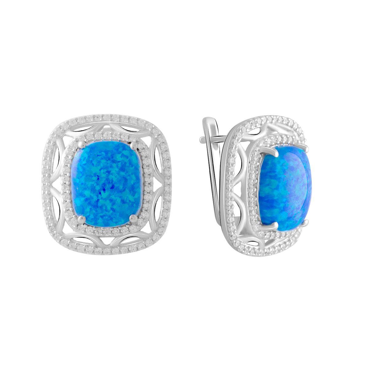 

Срібні сережки з опалом 4.238ct (2075110)