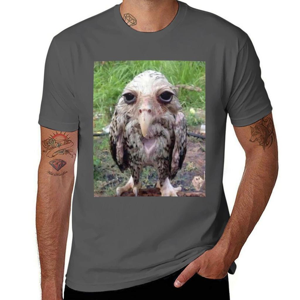 Wet Owl Meme Essential Tshirt Work Casual Loose Fit Tshirt