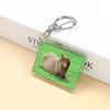 Acrylic Keychain Transparent Capybara Pendant Keyring DIY Tags Backpack Luggage