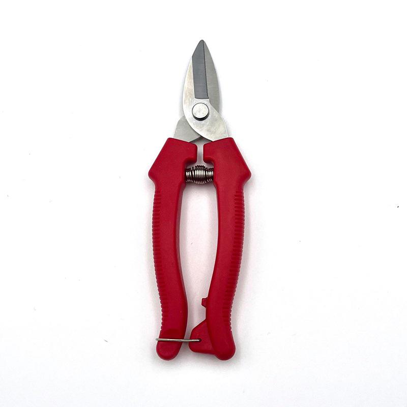 Stainless Steel Pruning Scissors for Garden, Branch, and Flower Arranging