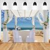 Summer Seaside Tropical Beach Balcony View Backdrop Palm Trees Mountain Wedding Party Portrait Photography Background Photo Prop