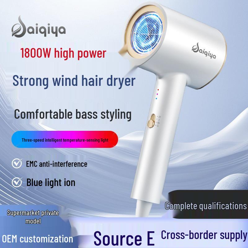 High Power Electric Hair Dryer with Blue Light Ion for Hair Care - Suitable for Salon, Hotel, or Home Use.