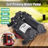 Dual Electric Motor 5.5LPM 105PSI High Pressure Self Pressure Diaphragm Water Pump for Garden Carajan Sea Pump 12v