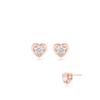 Silver Earrings SC1809