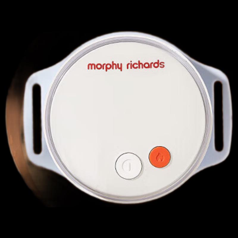 Morphy Richards MR2159 Portable Smokeless Electronic Moxibustion Device