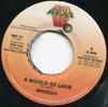 7inch Record NIKESHA  A World Of Love HBR173 Heavy Beat 1999 Jamaica Reggae Ska  Dub Used