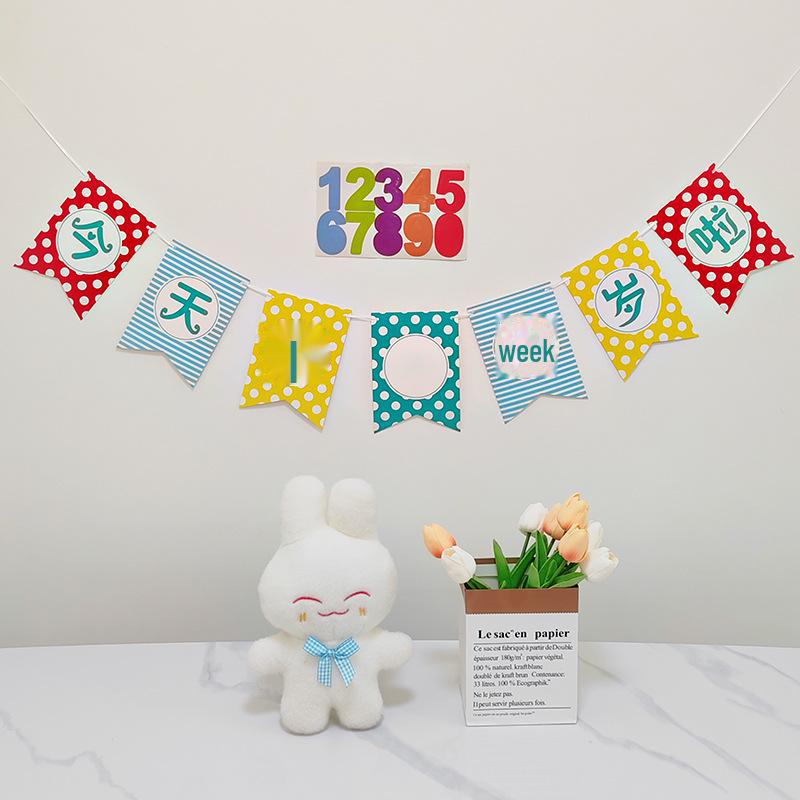 Colorful Happy Birthday Flag Decoration for Baby's First Birthday Photoshoot