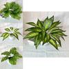 Monstera Deliciosa Faux Plant With 7fork Zebra And Turtles Leaves For Wedding Decor And Wall Art